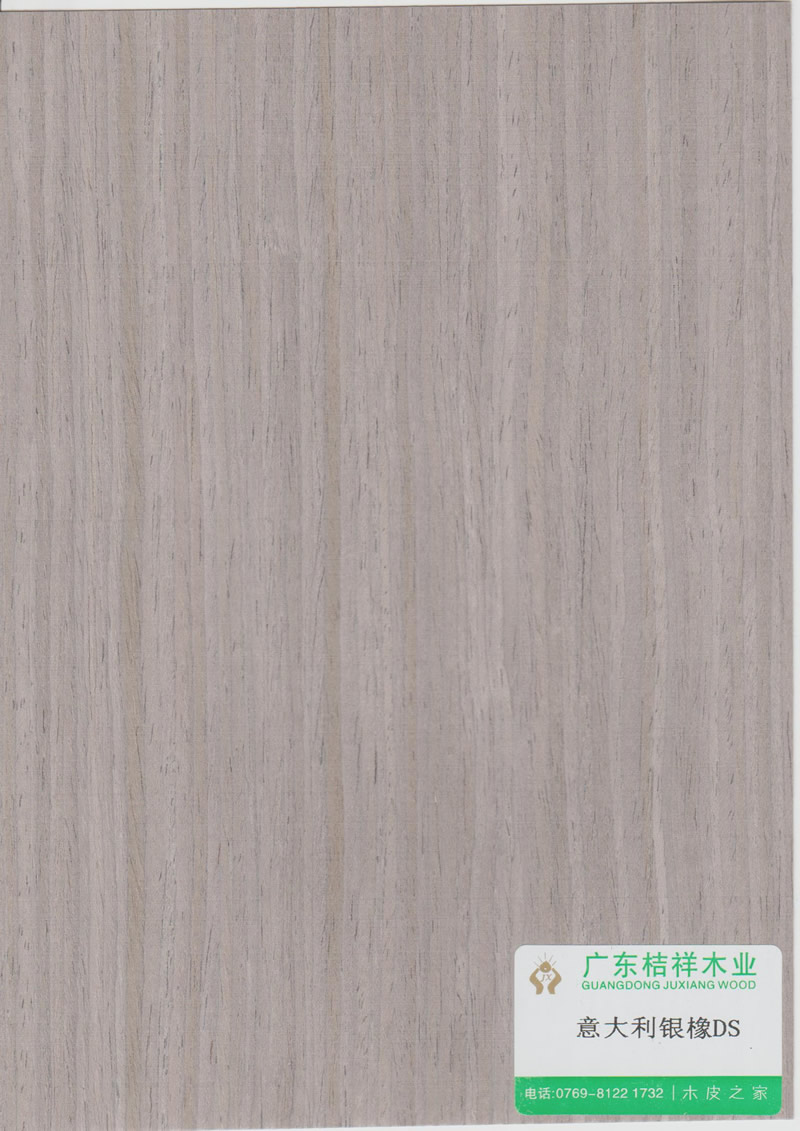 Italian silver oak DS
