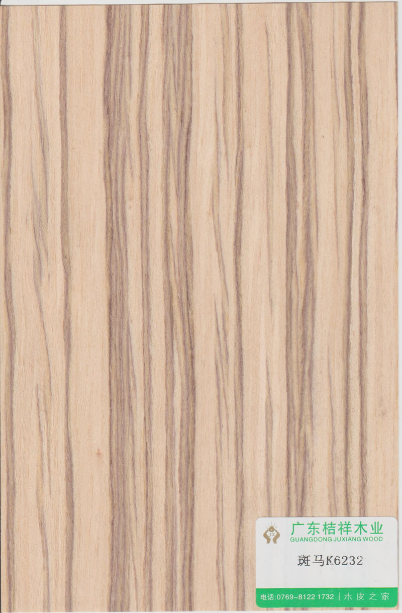 Zebra K6232