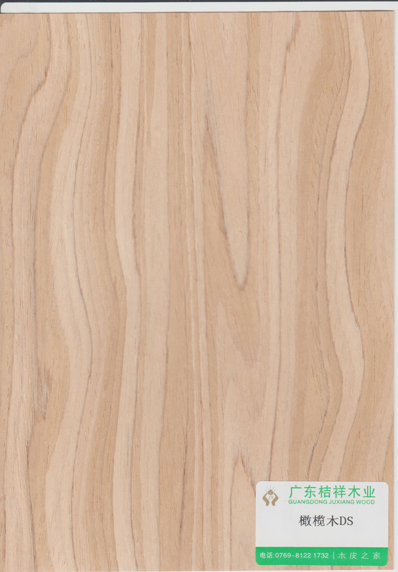 Olive Wood DS