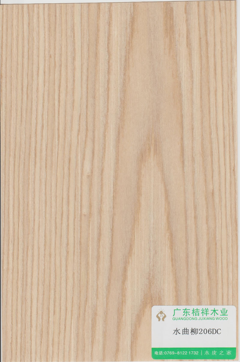 Fraxinus mandshurica 206DC