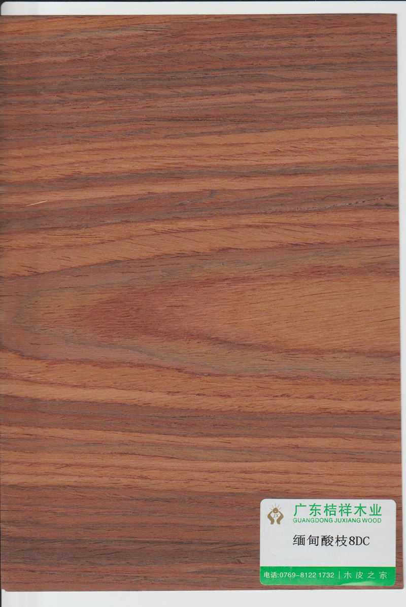 Burmese rosewood 8DC