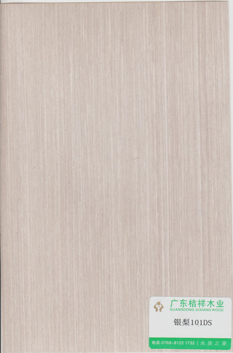 Silver Pear 101DS