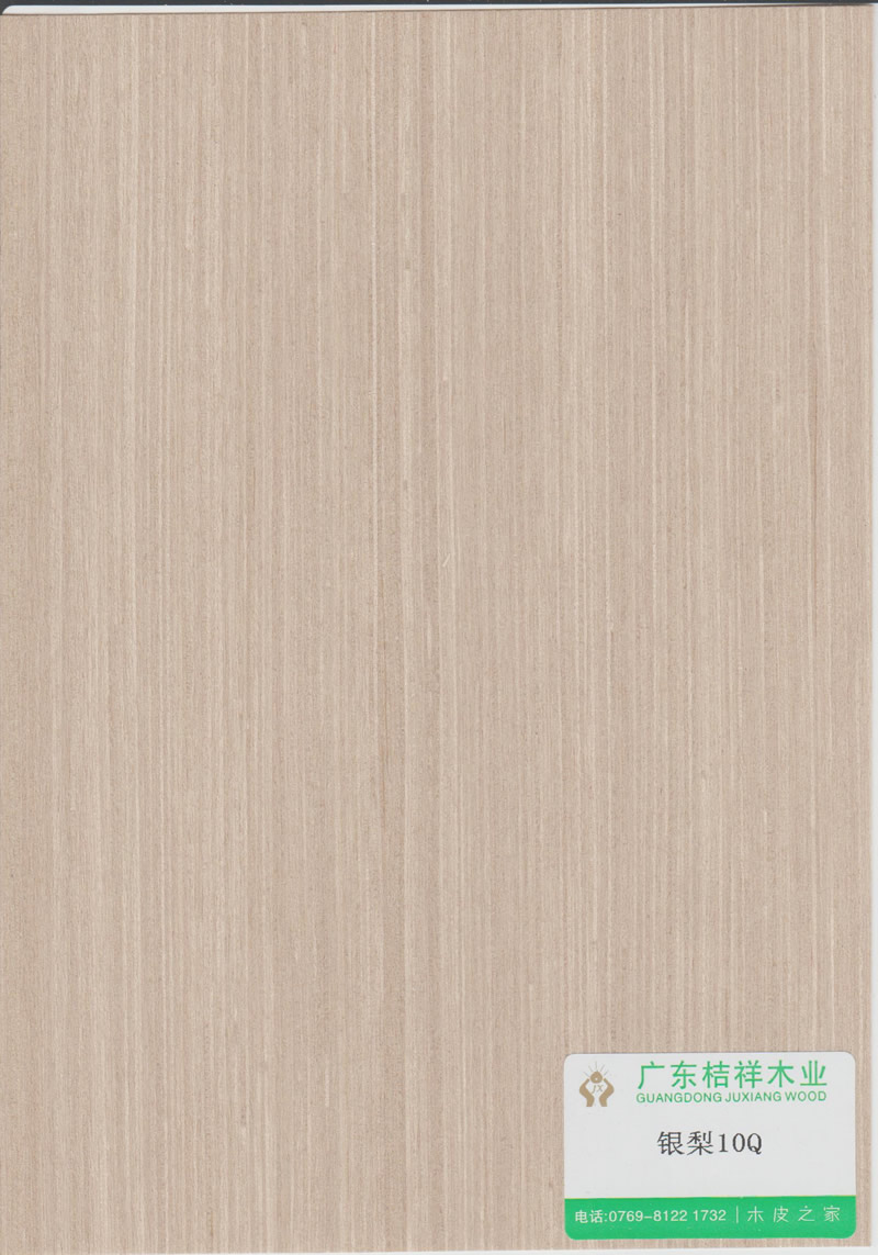 Silver Pear 10Q