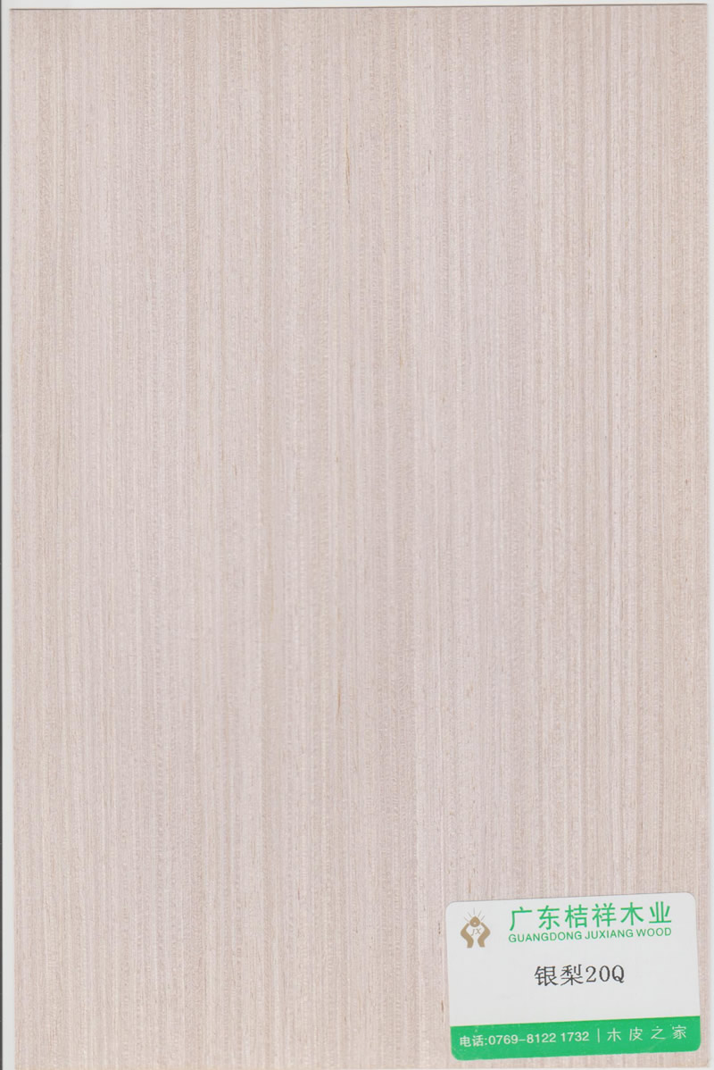 Silver Pear 20Q