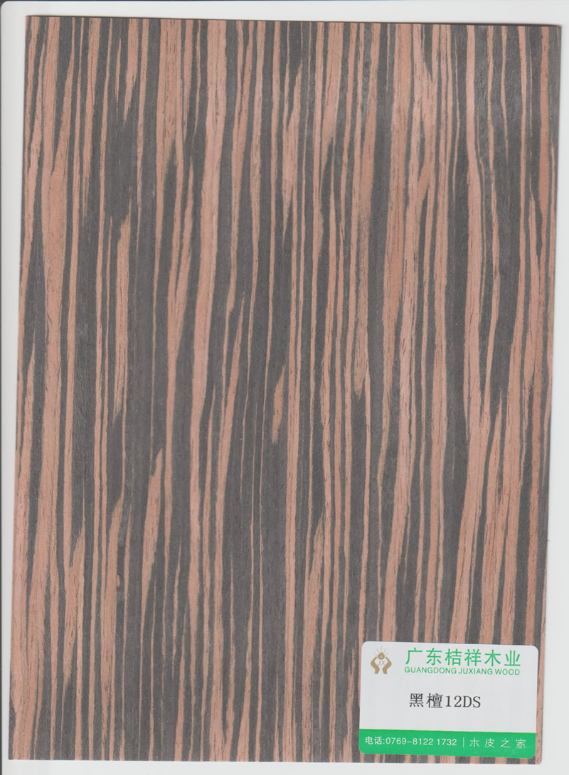 Ebony 12DS