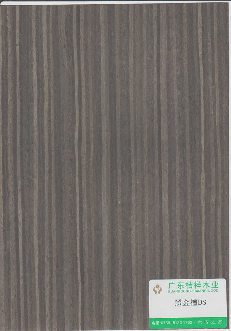 Ebony DS